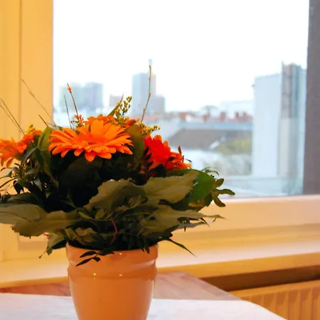 بنسيون إيه بي سي بيت ضيافة 3*