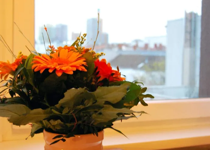 Abc 게스트하우스 3*